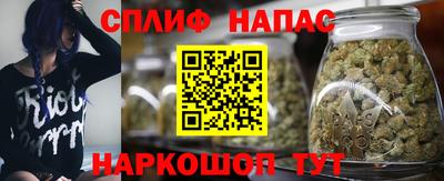 дмт Новодвинск