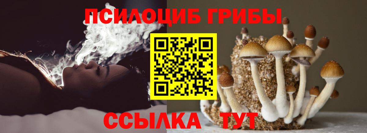 Сосновоборск  Псилоцибиновые грибы мицелий  Вход с VPN 